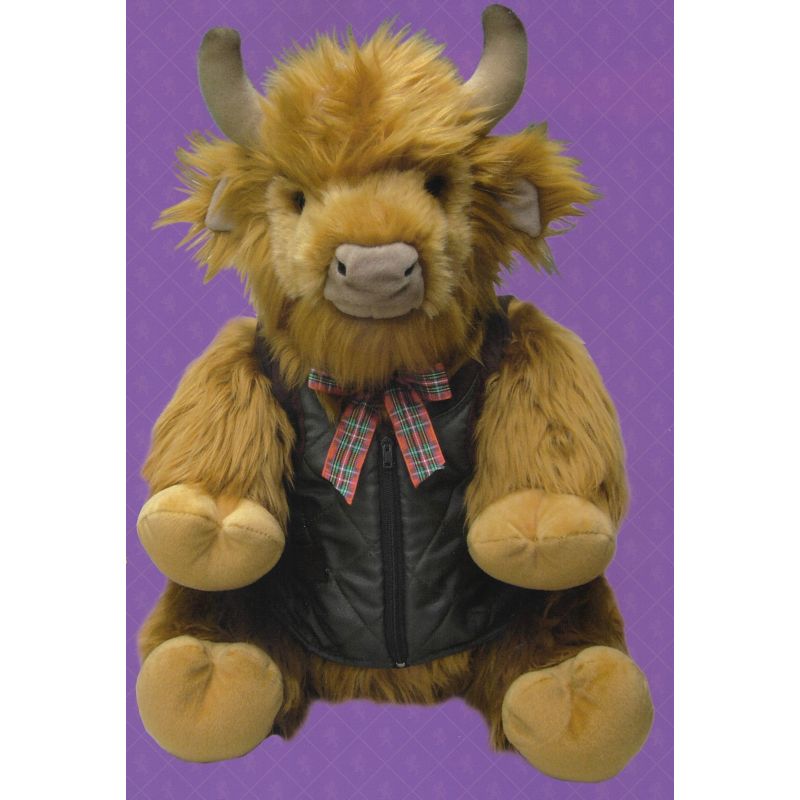 Large Highland Cow Soft Toy in Gilet