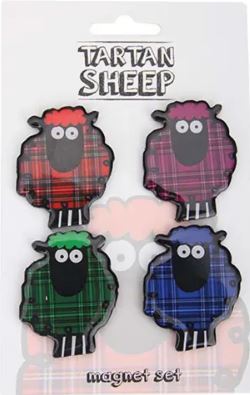 Scottish Multi Sheep Magnet Set