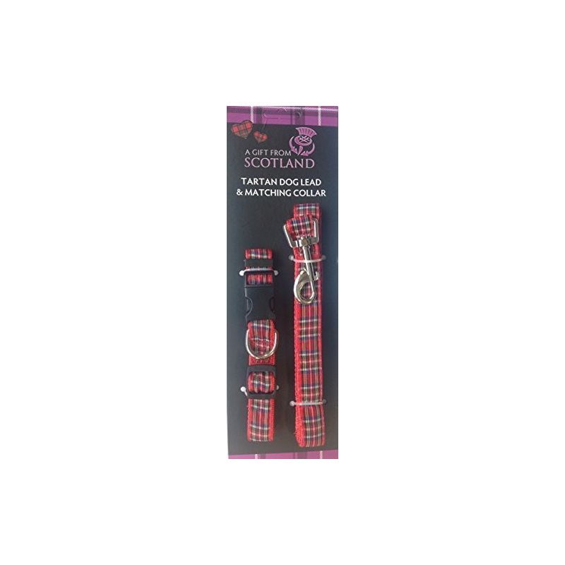 Tartan Collar and Lead