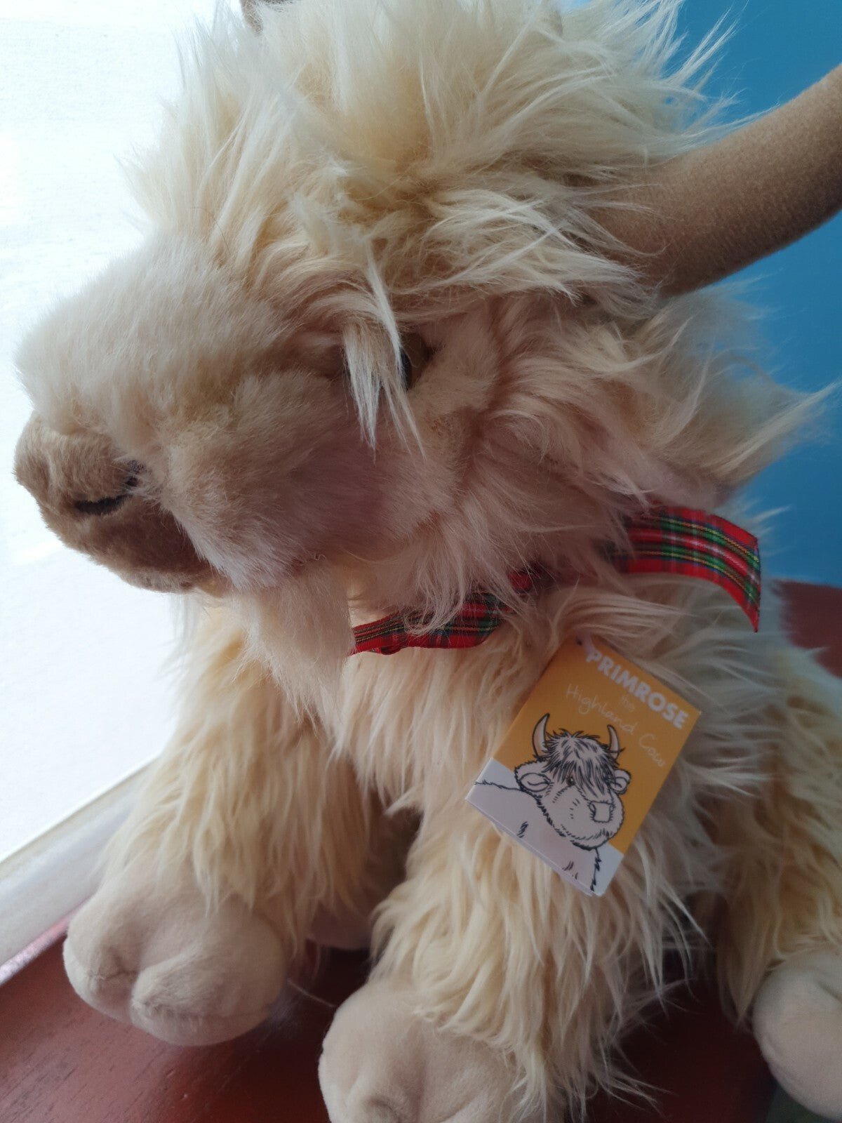 Primrose the Highland Cow teddy Highland Coo soft toy HIGHLAND COWS plush toys
