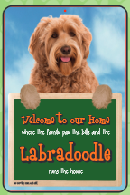 Labradoodle Welcome Hang-up