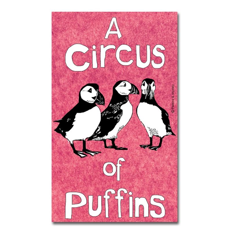 A Circus of Puffins Tea Towel