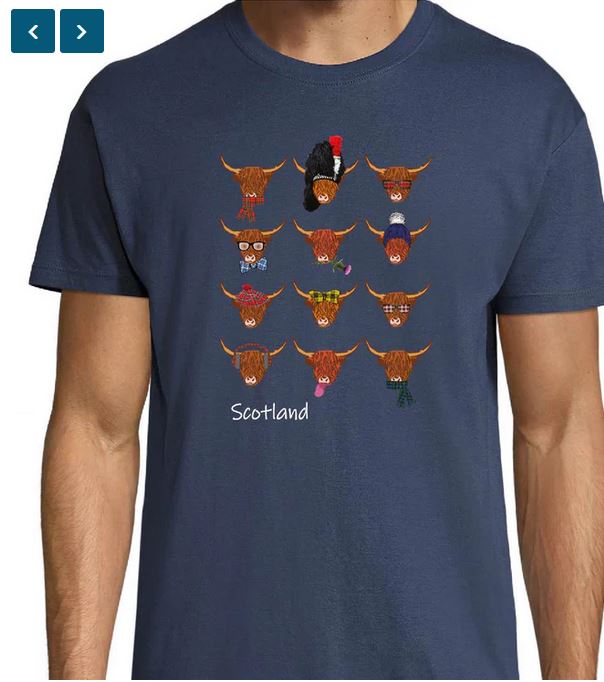 Scottish T Shirt Multi Coos T-Shirt (XXL)