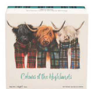 Colours of The Highlands Vanilla Fudge Carton 170g