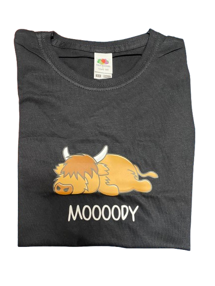 Ladies Scottish Highland Cow T Shirt (Moody Cow) - Size L