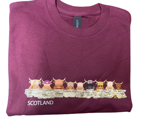Coos over the Wall T Shirt Burgundy - XL
