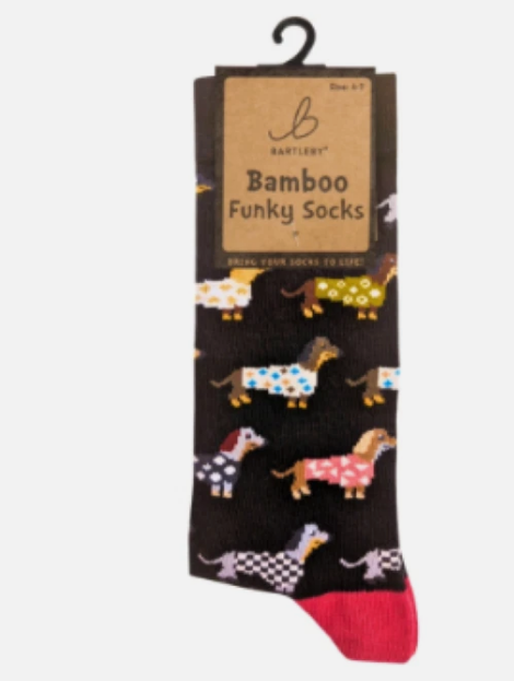 Funky Bamboo Socks - Trendy Dachshunds - Size 4-7