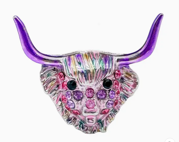 Rainbow Highland Cow Magnet
