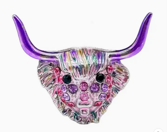 Rainbow Highland Cow Magnet