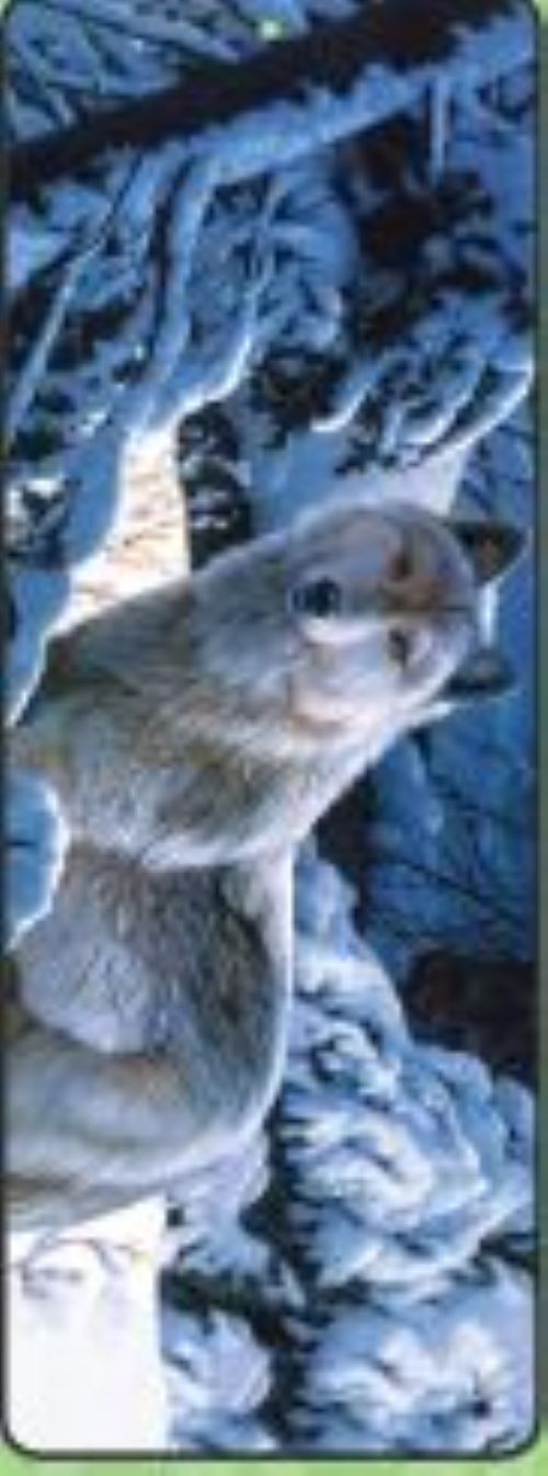 Lone Wolf Lenticular Bookmark Ruler