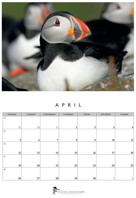 Michael Macgregor Puffins 2027 Calendar