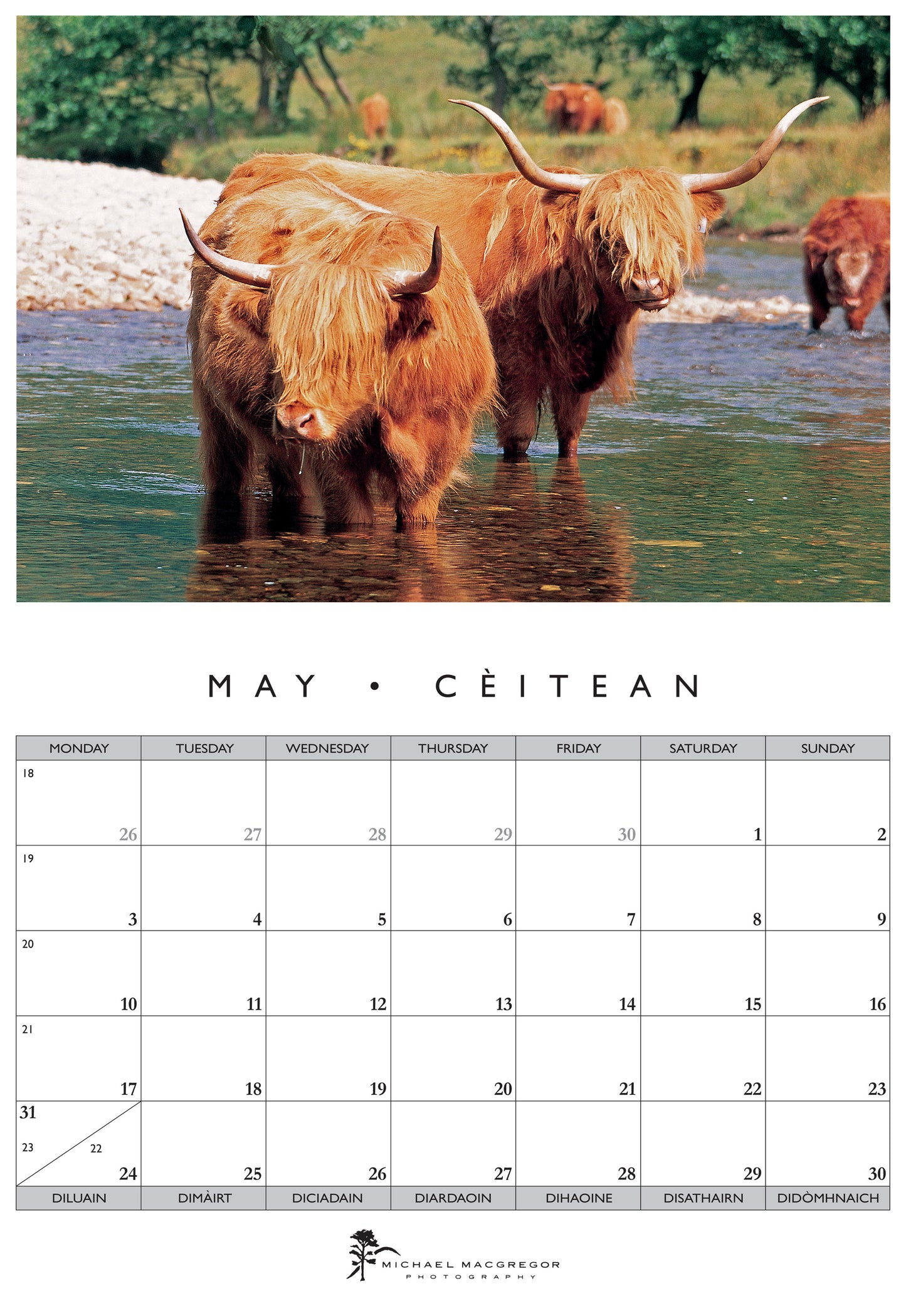 Michael Macgregor Highland Cattle 2027 Calendar