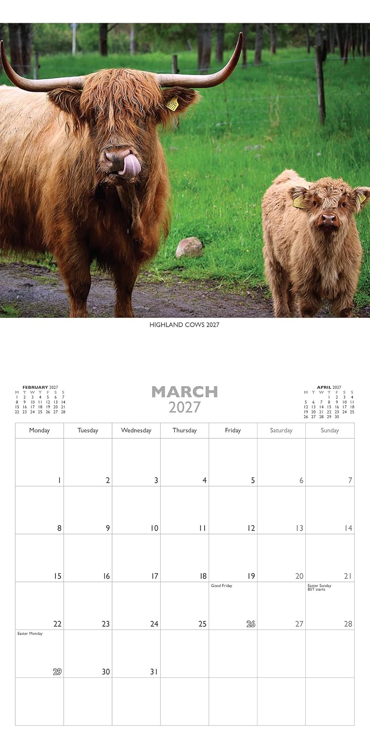 2027 Scotland Calendar: Highland Cows – Wall Calendar