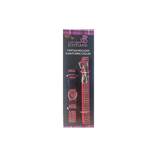 Tartan Collar and Lead