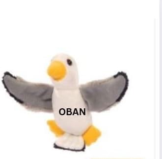 Flappy Fred - Small Soft Seagull Magnet - Oban - Eco Alive™