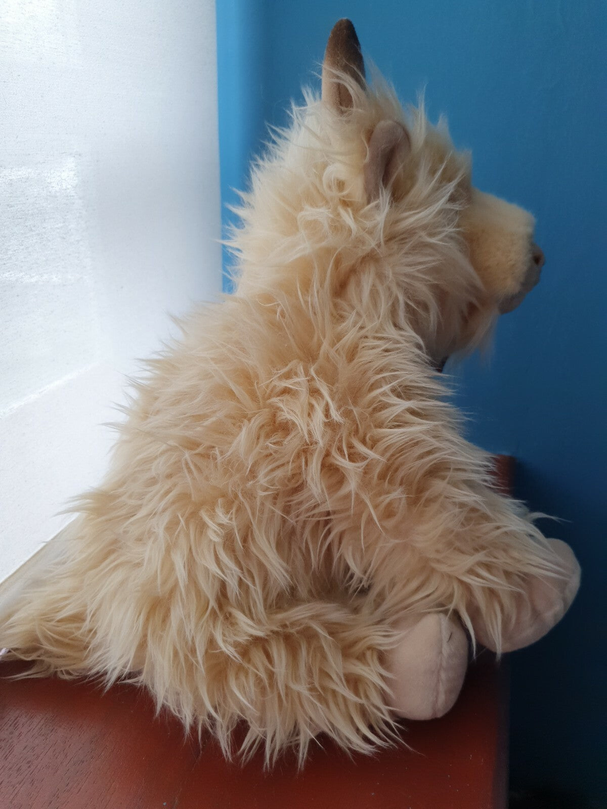Primrose the Highland Cow teddy Highland Coo soft toy HIGHLAND COWS plush toys