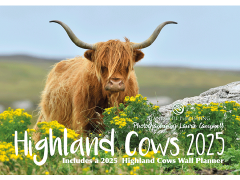  2025 Highland Cows Landscape Calendar & Wall Planner