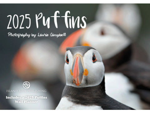  2025 Puffins Landscape Calendar & Wall Planner