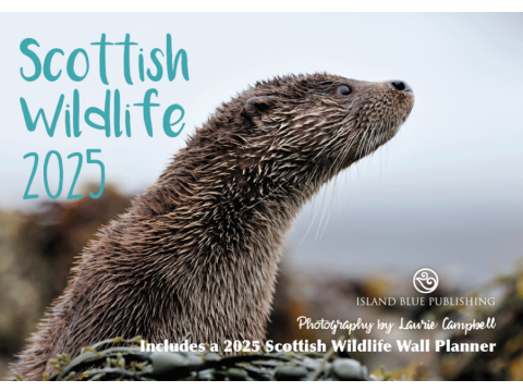  2025 Scottish Wildlife Landscape Calendar & Wall Planner