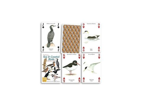 Heritage Playing Cards - Sea and Coastal Birds Playing Cards