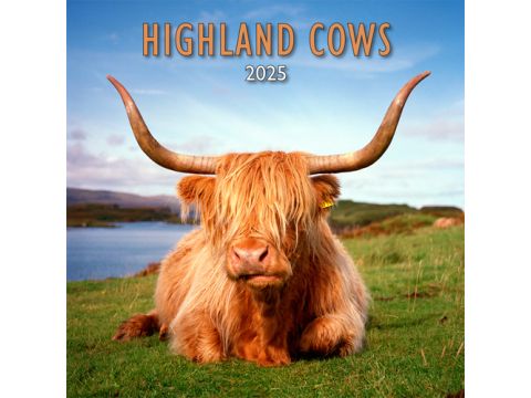 Highland Cows Calendar 2025