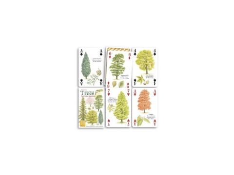 North American trees playing cards